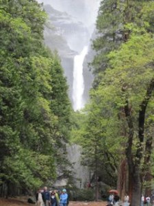 Yosemite view corridor